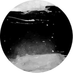 https://evenry.dk/wp-content/uploads/2018/04/planet_02.png